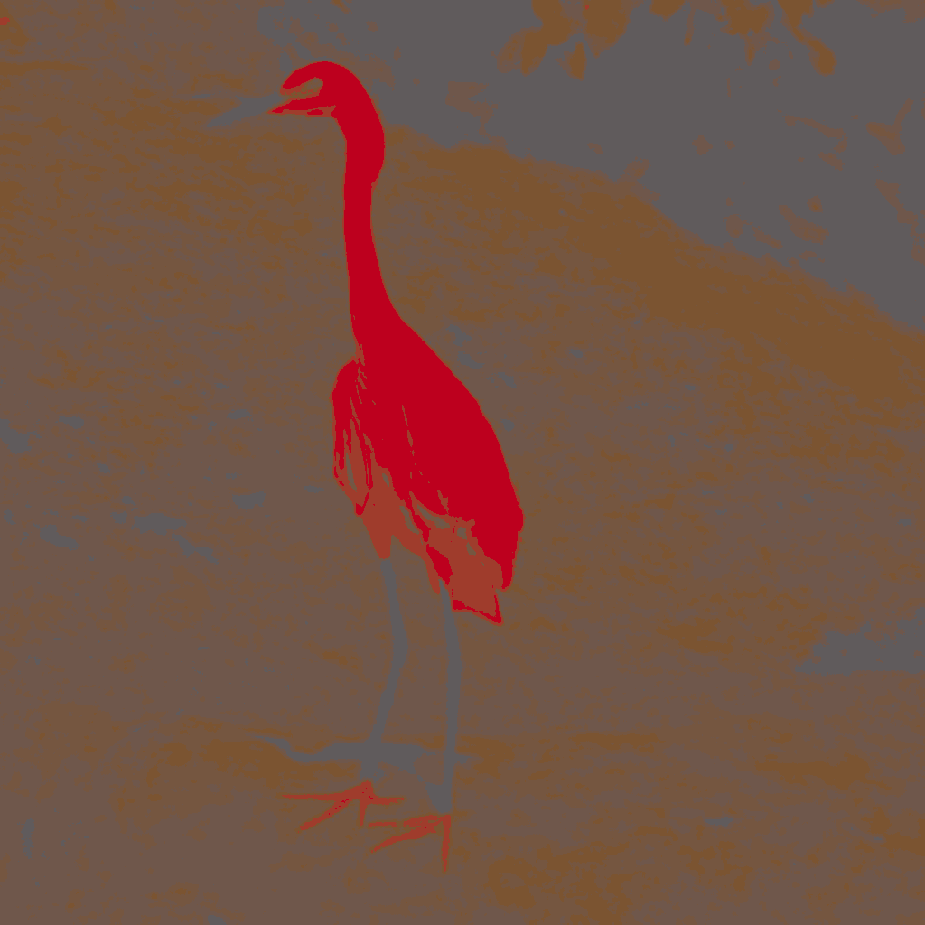 Edited colour map with the egret region painted red