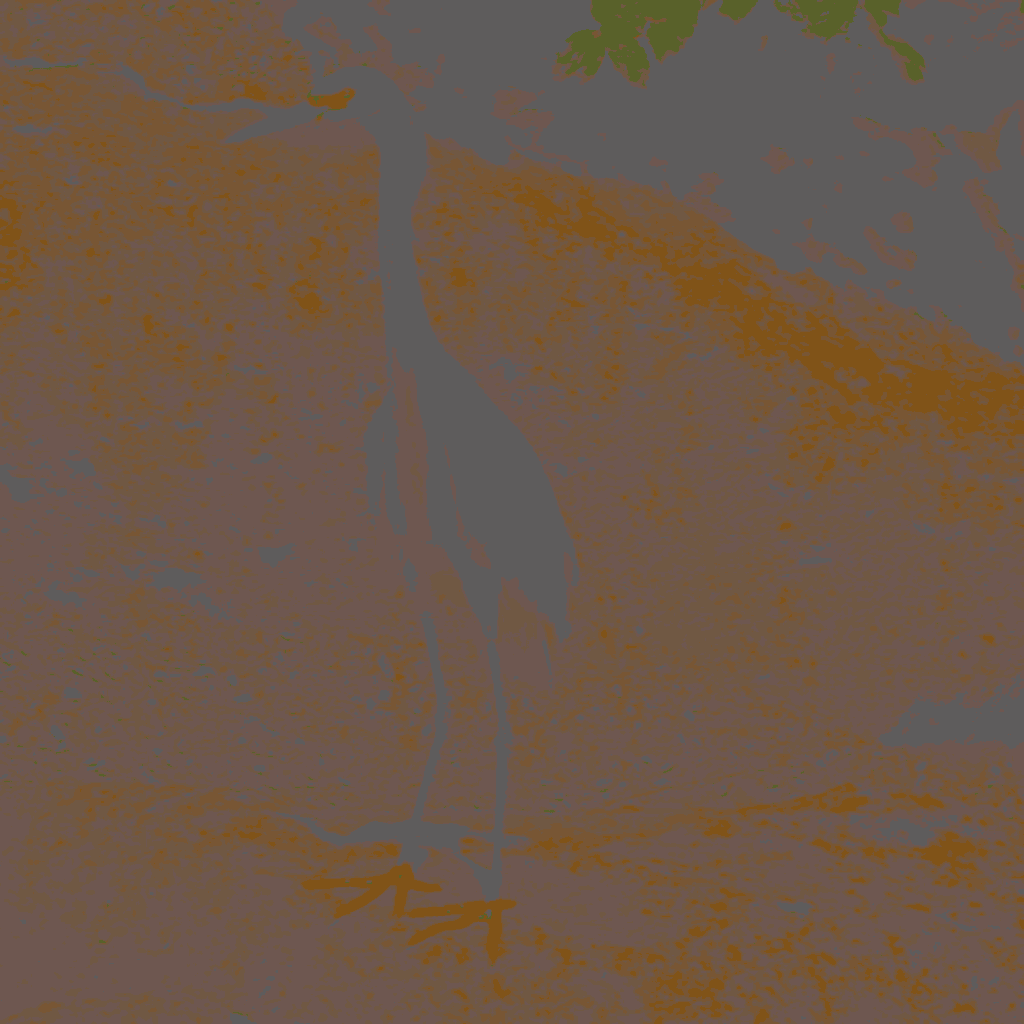 Original colour map of the egret and rocks