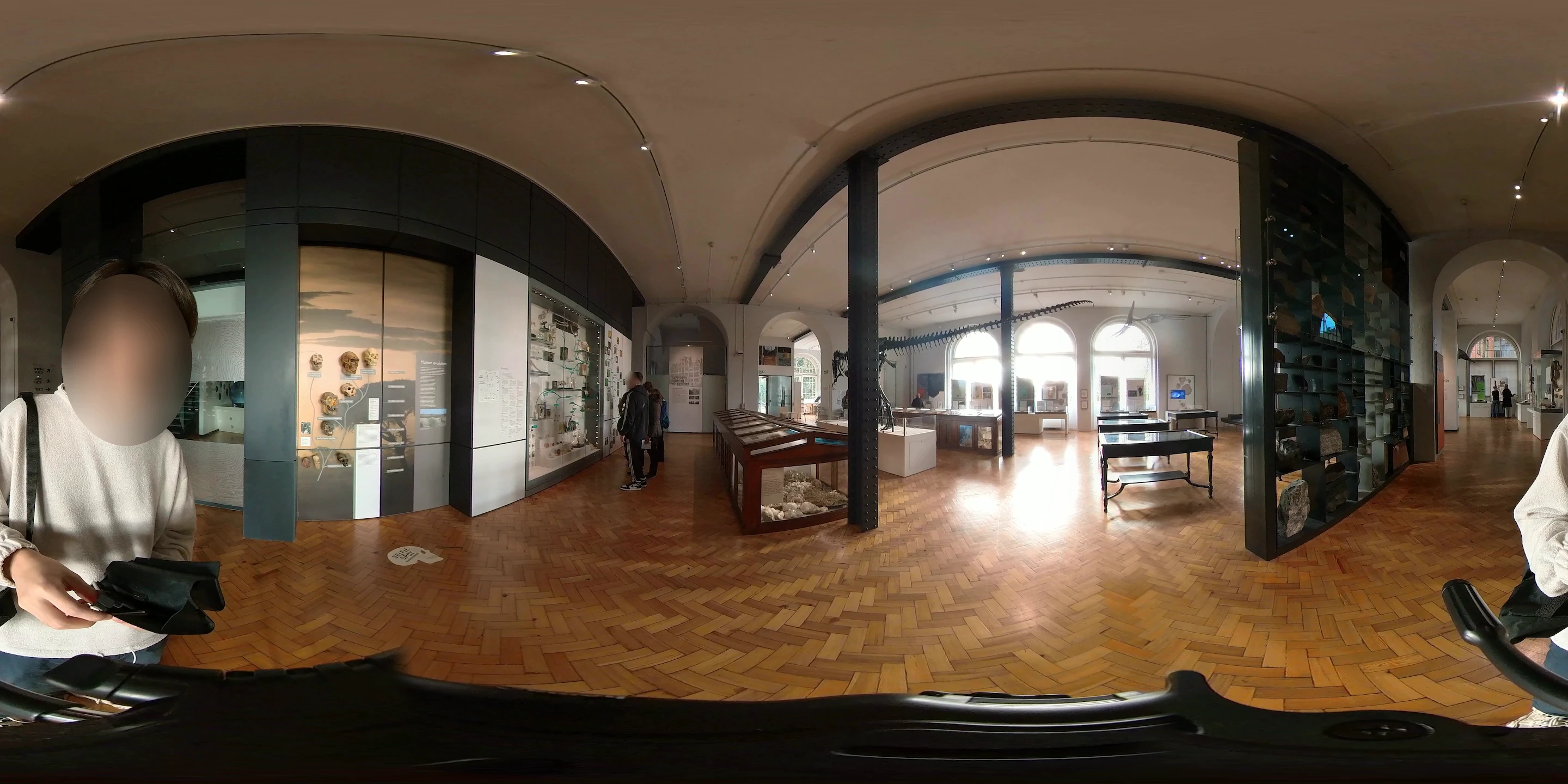 A panoramic museum scene from the official 360+x dataset preview
